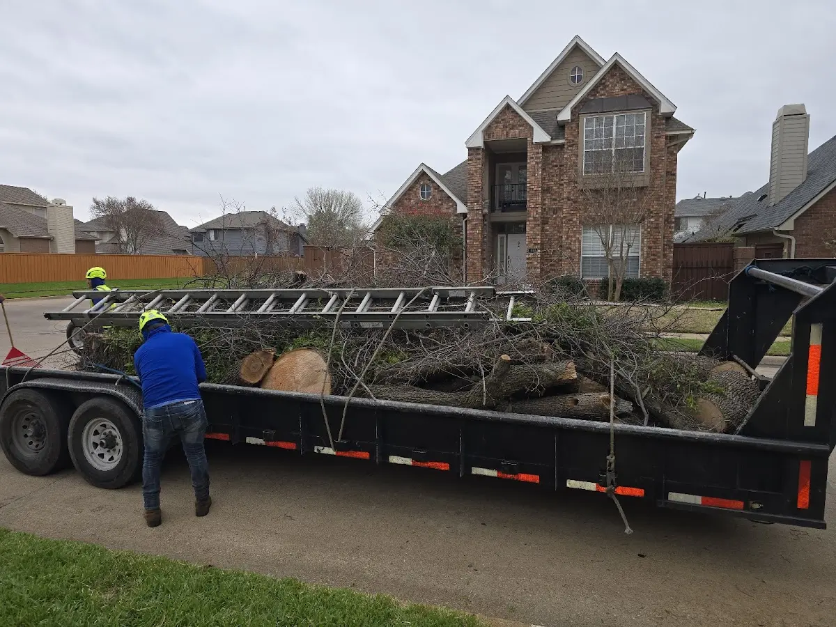 Expert Lot Clearing with proper safety equipment in Dennis Port